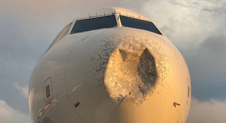 ‘Bird strike’ crushes nose cone and diverts A319 in US
