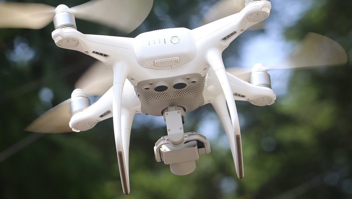 Apt attack: Bald eagle downs ‘EGLE’ drone